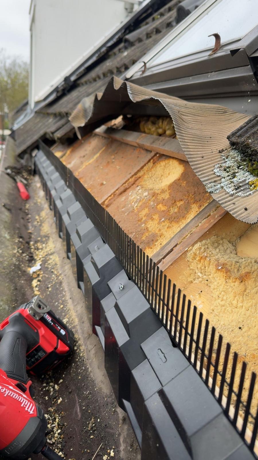 Vogelwering in de dakgoot laten plaatsen?